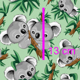Happy Koalas