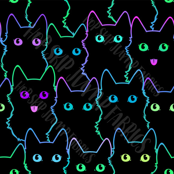 Pre-Order 43 Neon Cats