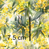 Pre-Order 42 Wattle